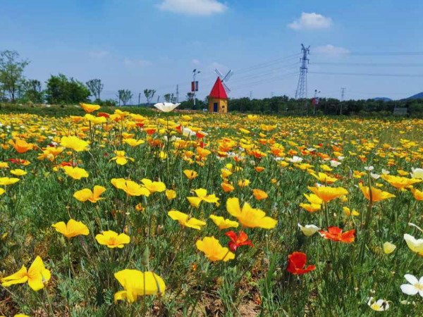 夢思康基地